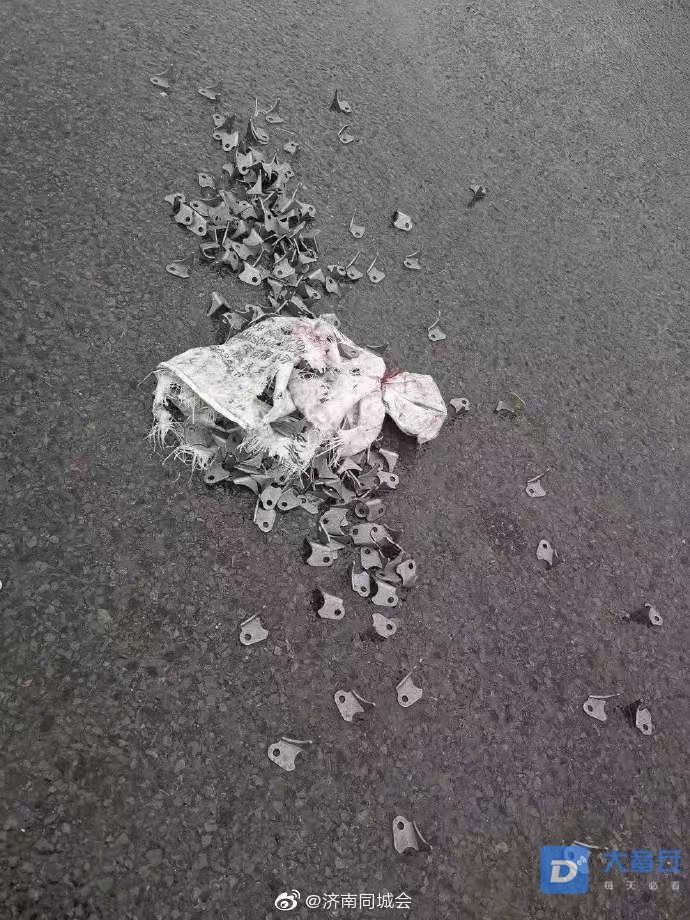 41.jpg