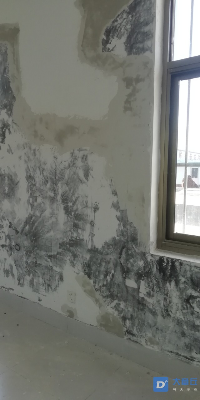 20191014_122275_1571027603231.jpg