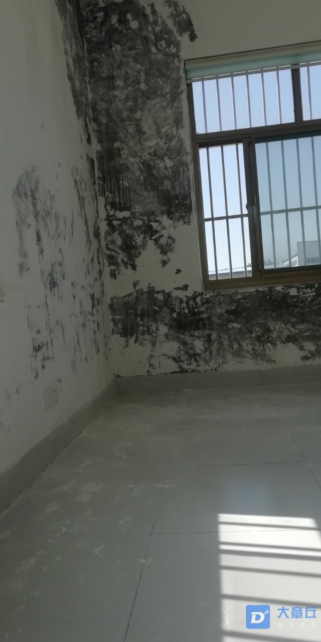 20191014_122275_1571027603661.jpg