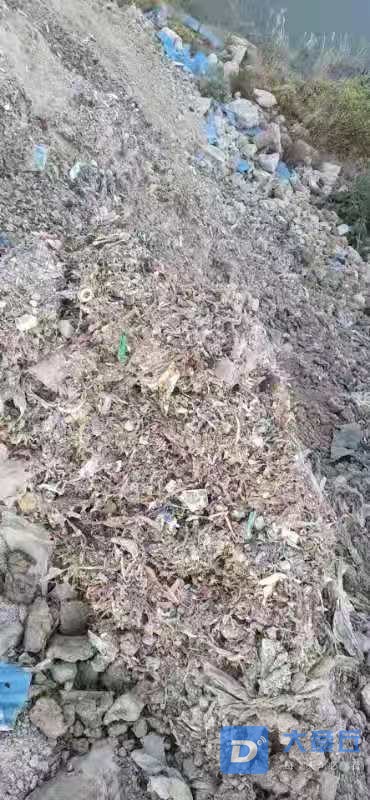 微信图片_20191015173951.jpg