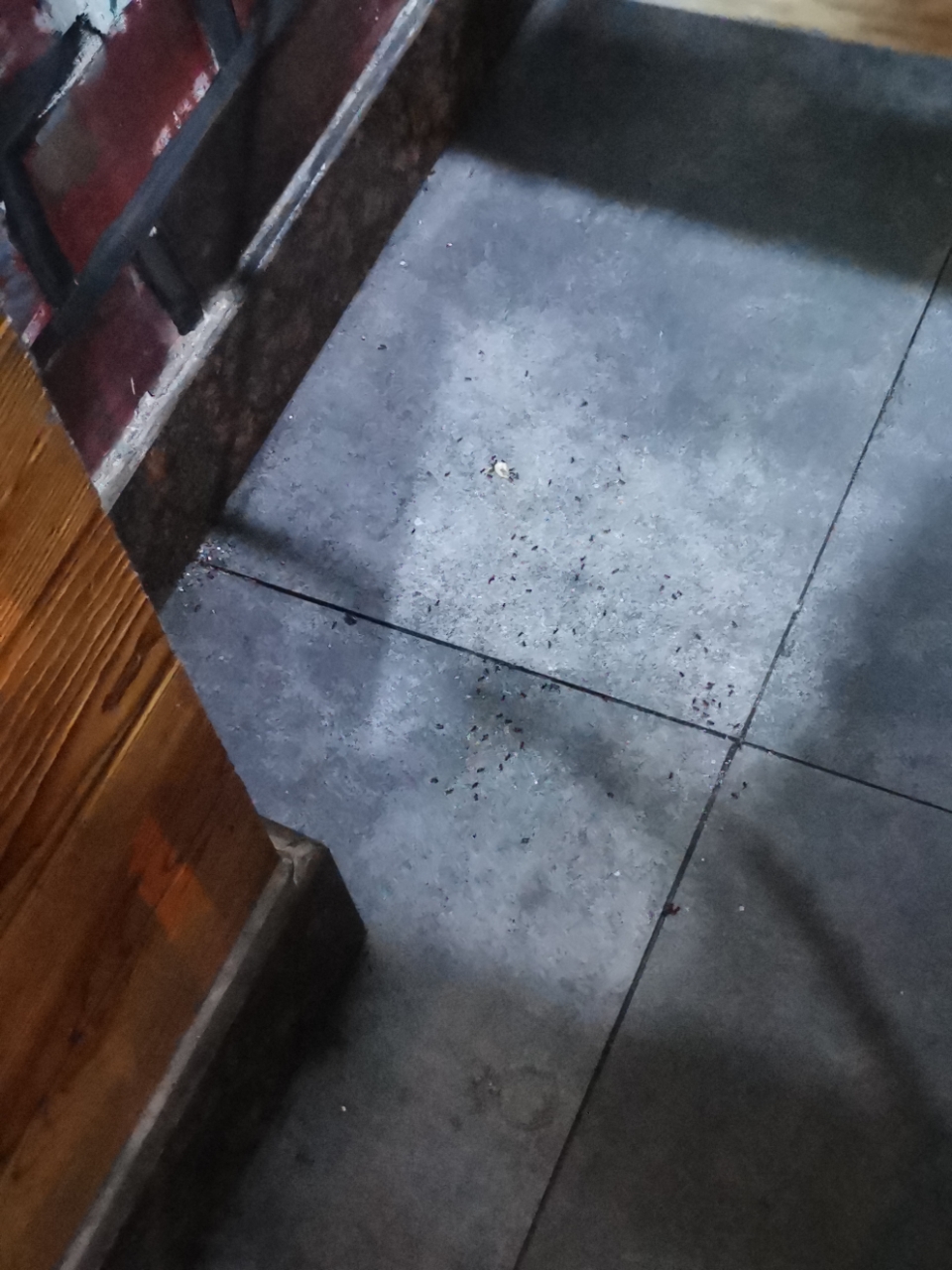 20191020_22141_1571575687627.jpg