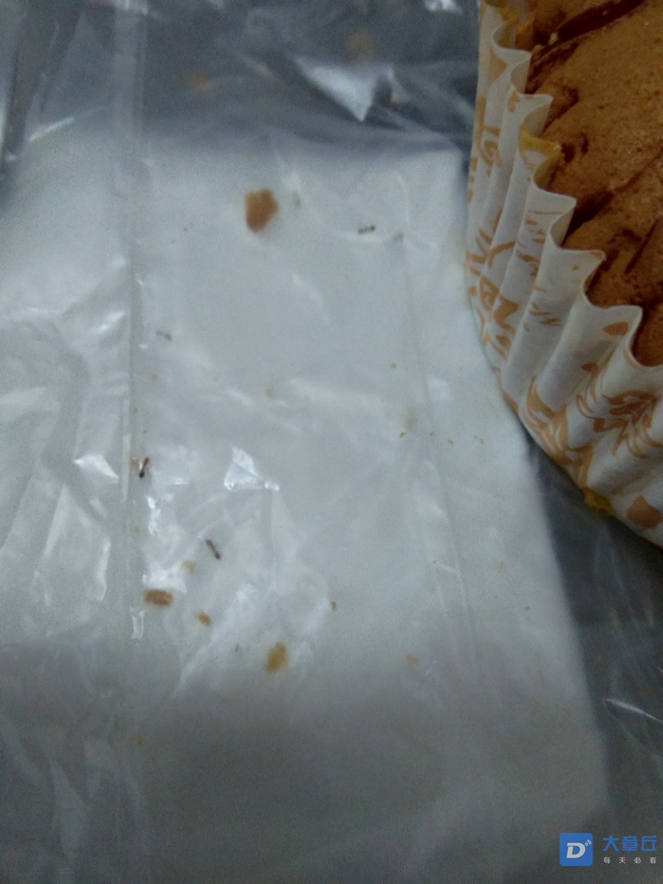 20191024_42632_1571873253284.jpg