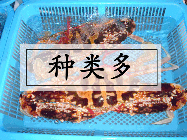 微信图片_20191024134614.gif