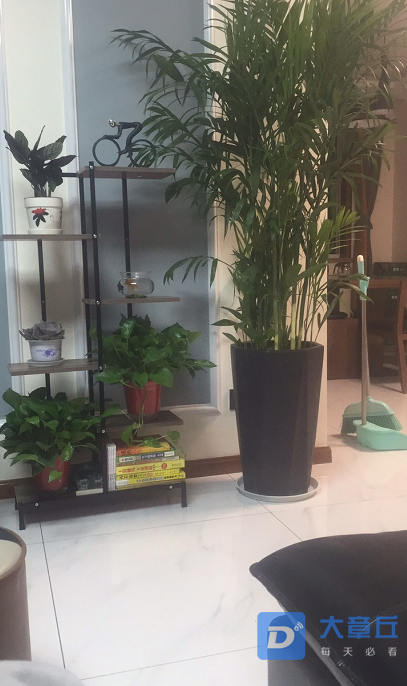微信截图_20191025113646.png