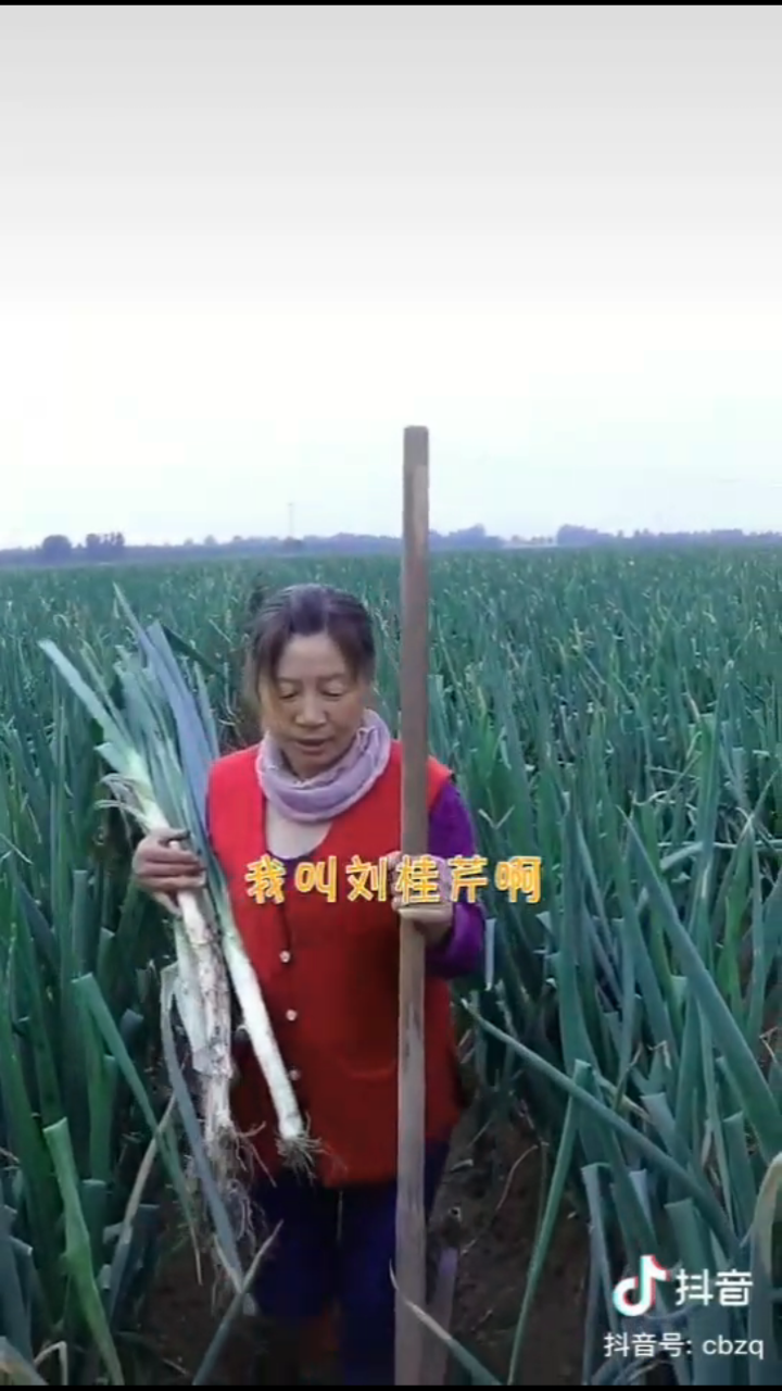 20191025_118740_1571985887982.png