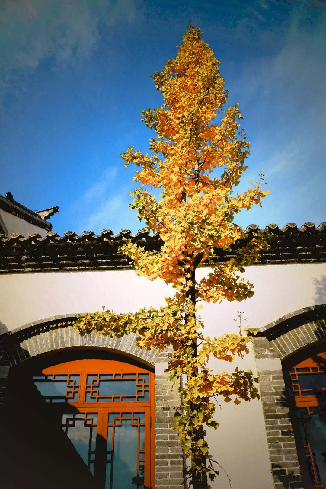 微信图片_20191030082253.jpg