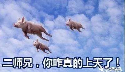 微信图片_20191030085052.jpg