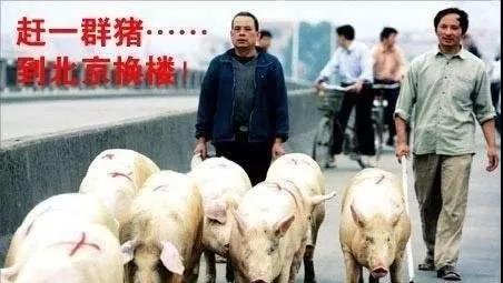 微信图片_20191030085054.jpg