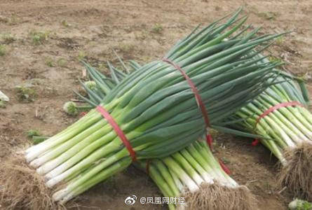 微信图片_20191030101745.jpg