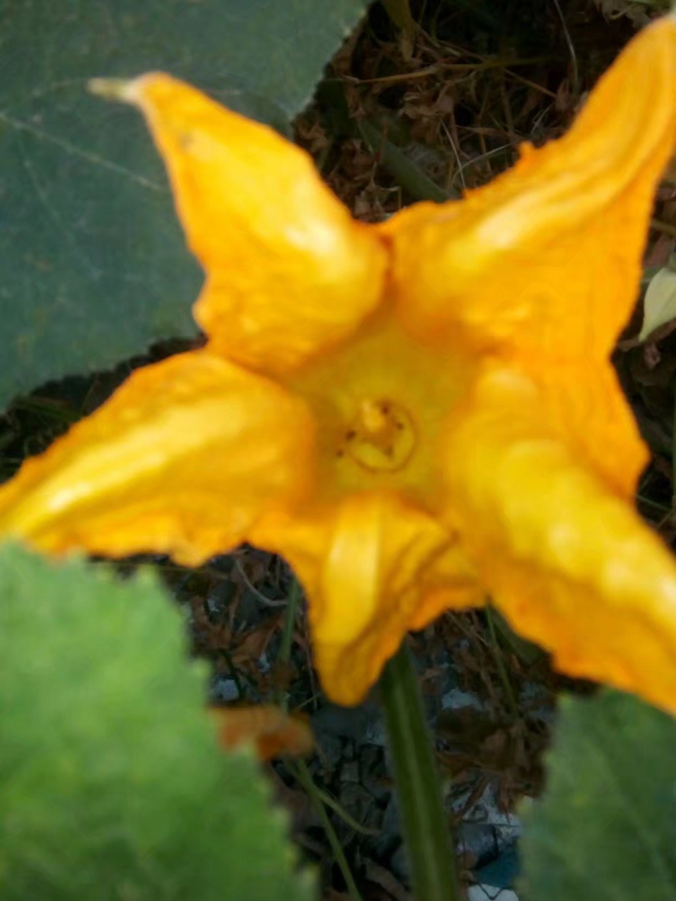 20191030_36974_1572421852679.jpg