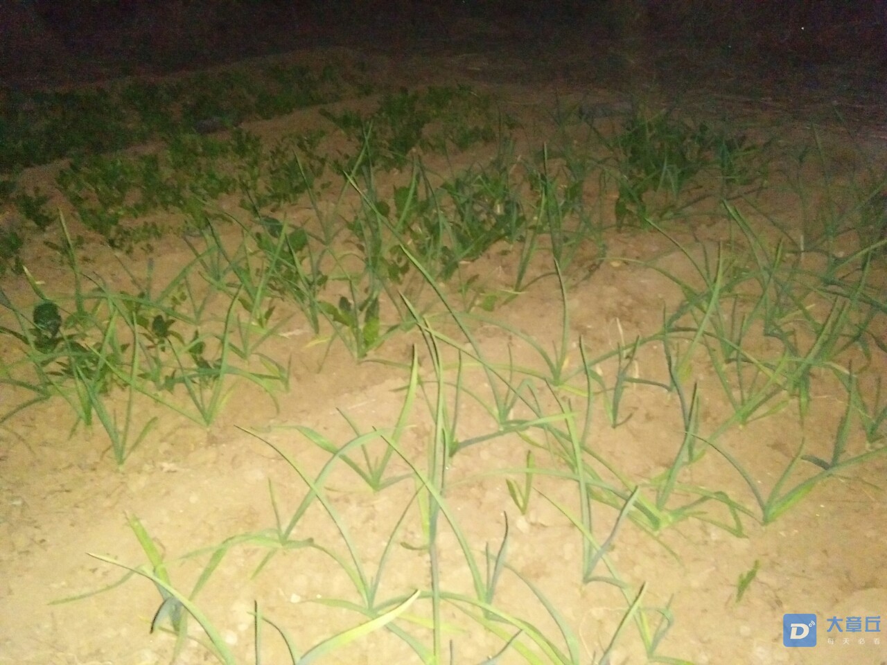 20191031_107034_1572516794501.jpg