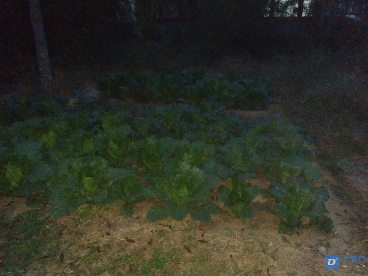 20191031_107034_1572516796518.jpg