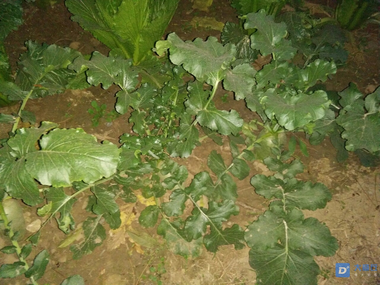 20191031_107034_1572516795845.jpg