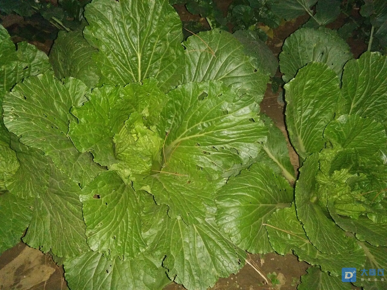20191031_107034_1572516795125.jpg