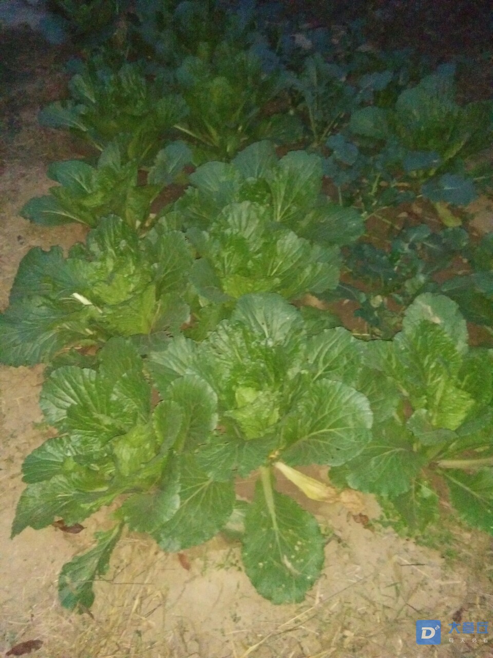 20191031_107034_1572516798996.jpg