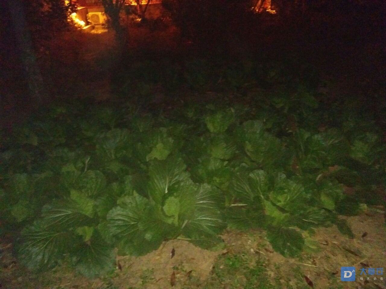 20191031_107034_1572516799606.jpg