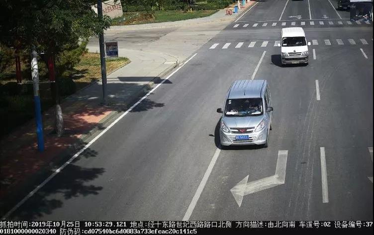 10.jpg