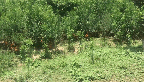 微信图片_20191106135048.gif
