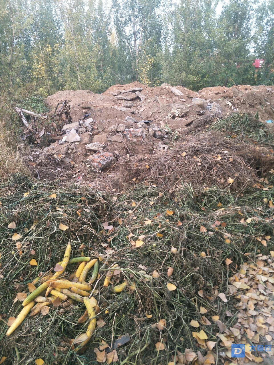 20191108_15263_1573200111016.jpg