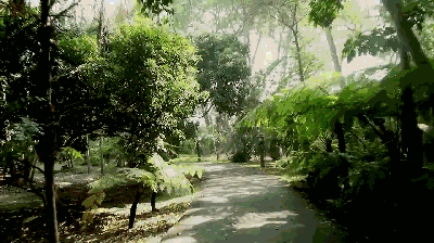 微信图片_20191109113954.gif