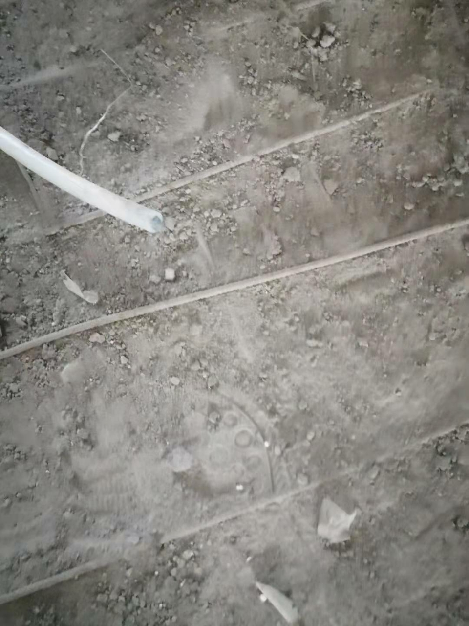 20191110_122087_1573350491383.jpg