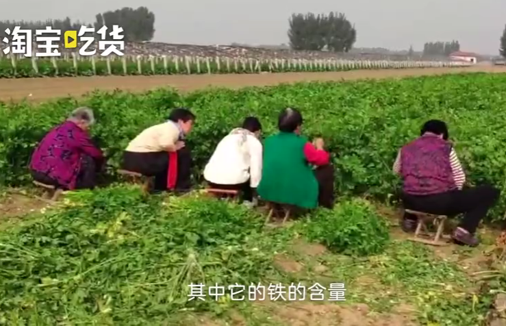 微信截图_20191112095128.png
