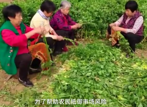 微信截图_20191112145705.png