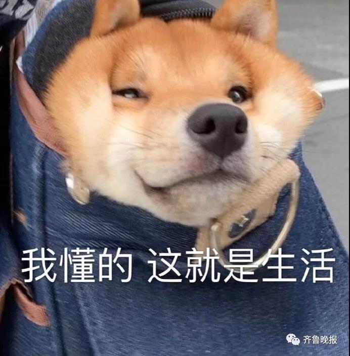 微信图片_20191114114107.jpg