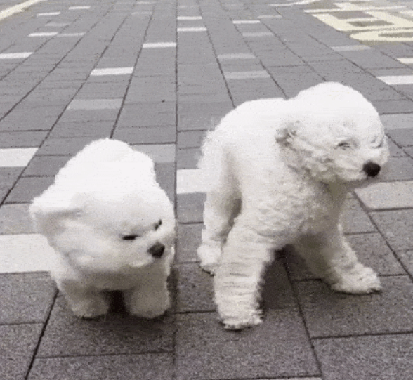 微信截图_20191114114217.png