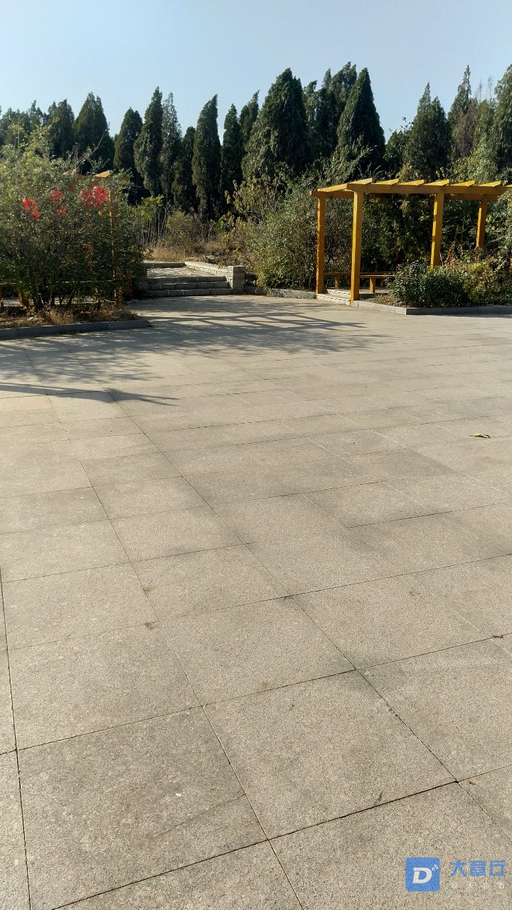 20191114_10367_1573711586297.jpg
