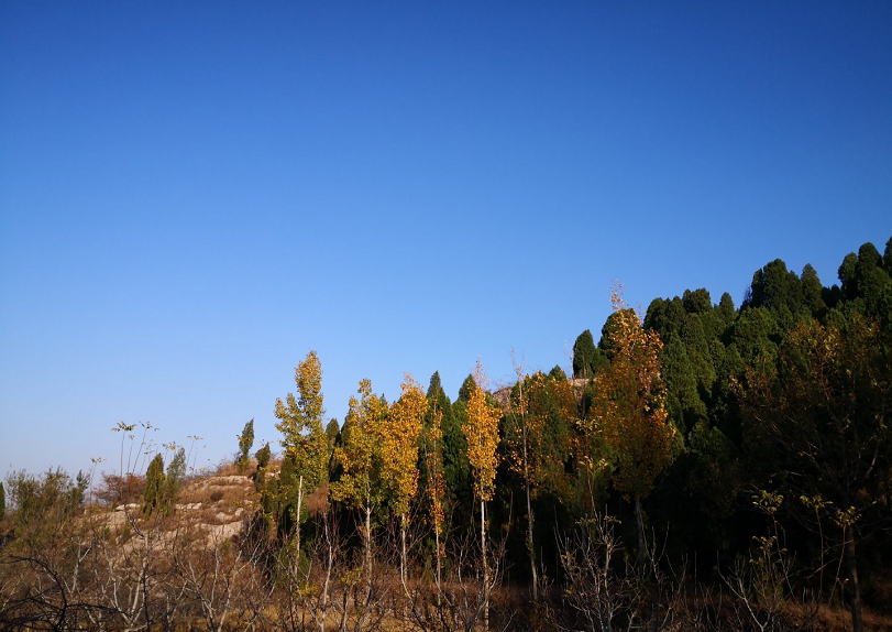微信截图_20191114155429.png