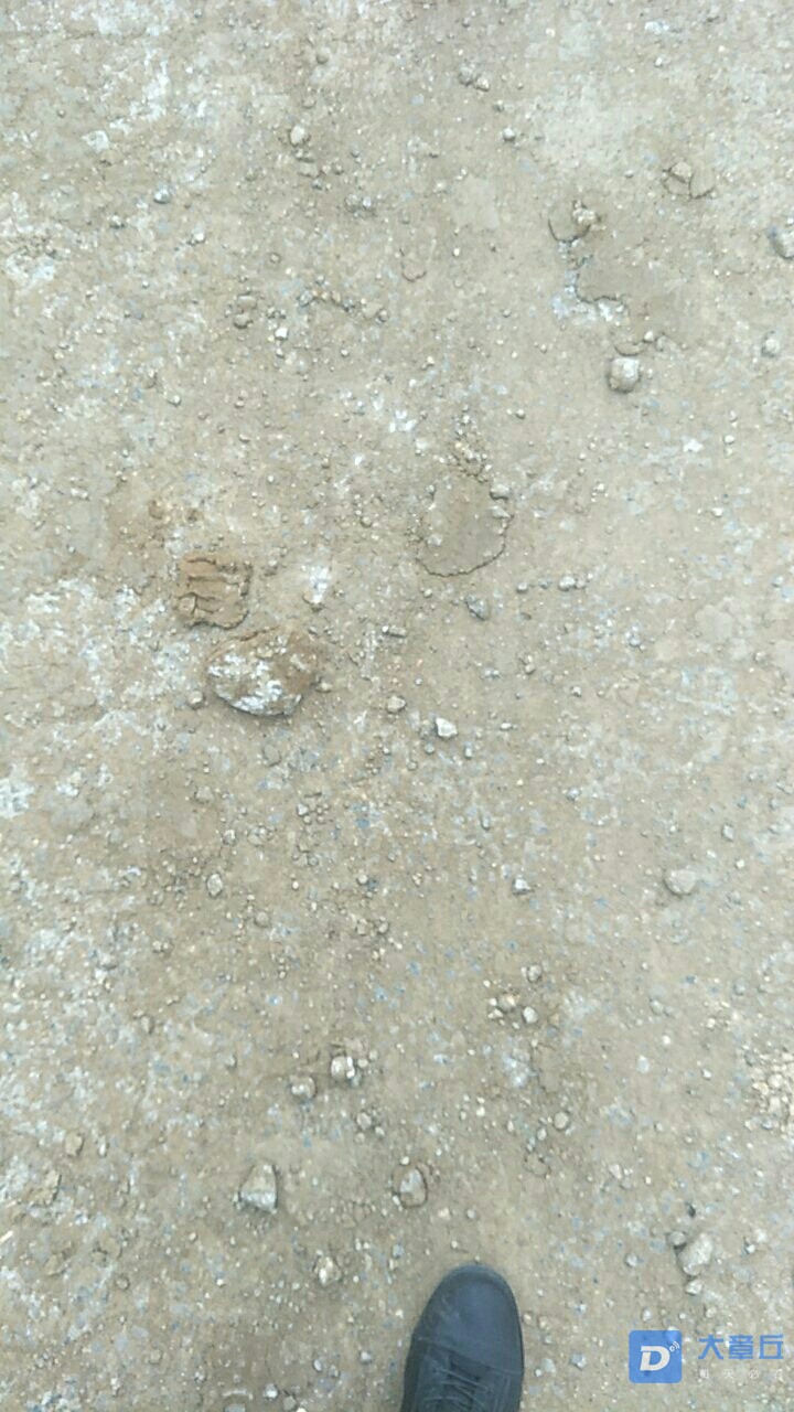 20191116_18559_1573884673684.jpg