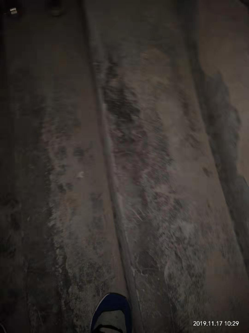 20191117_124802_1573995534656.jpg