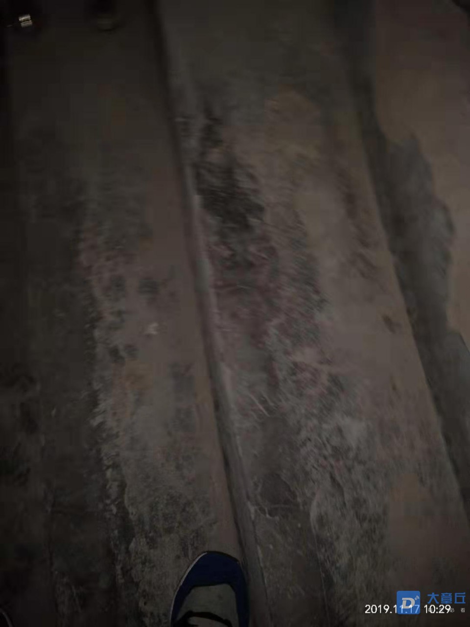 20191117_124802_1574004236141.jpg