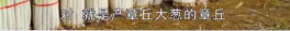 微信截图_20191118093656.png