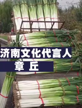 微信截图_20191118093508.png