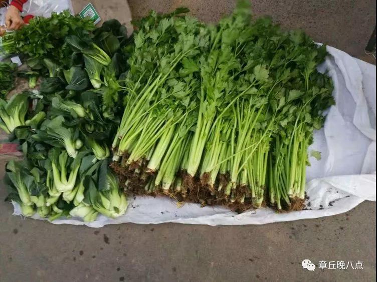 微信图片_20191118095110.jpg