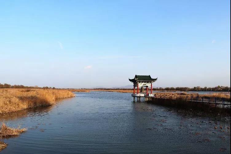 微信图片_20191118165928.jpg