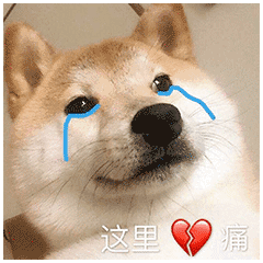 微信图片_20191119082946.gif