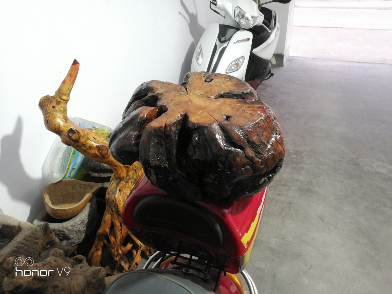 20191119_111720_1574153585787.jpg