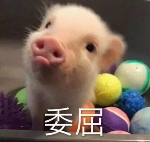 微信图片_20191120171808.jpg