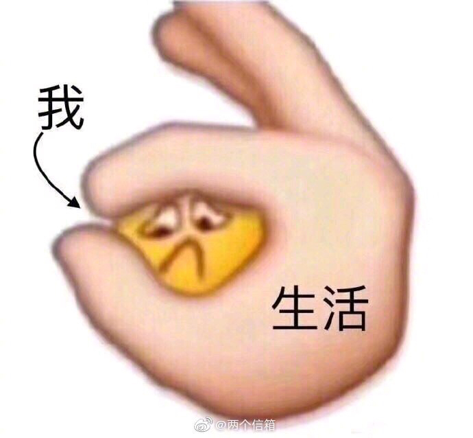2019112376350157450302643022.jpg