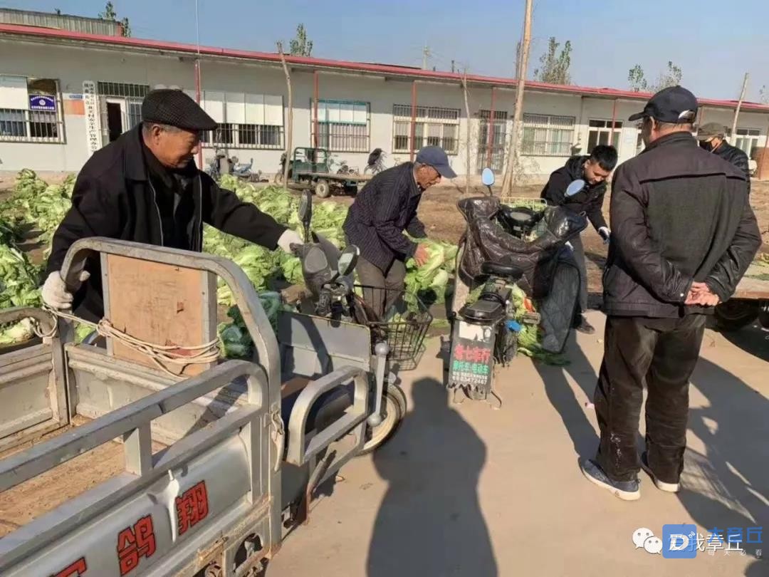 微信图片_20191127102230.jpg
