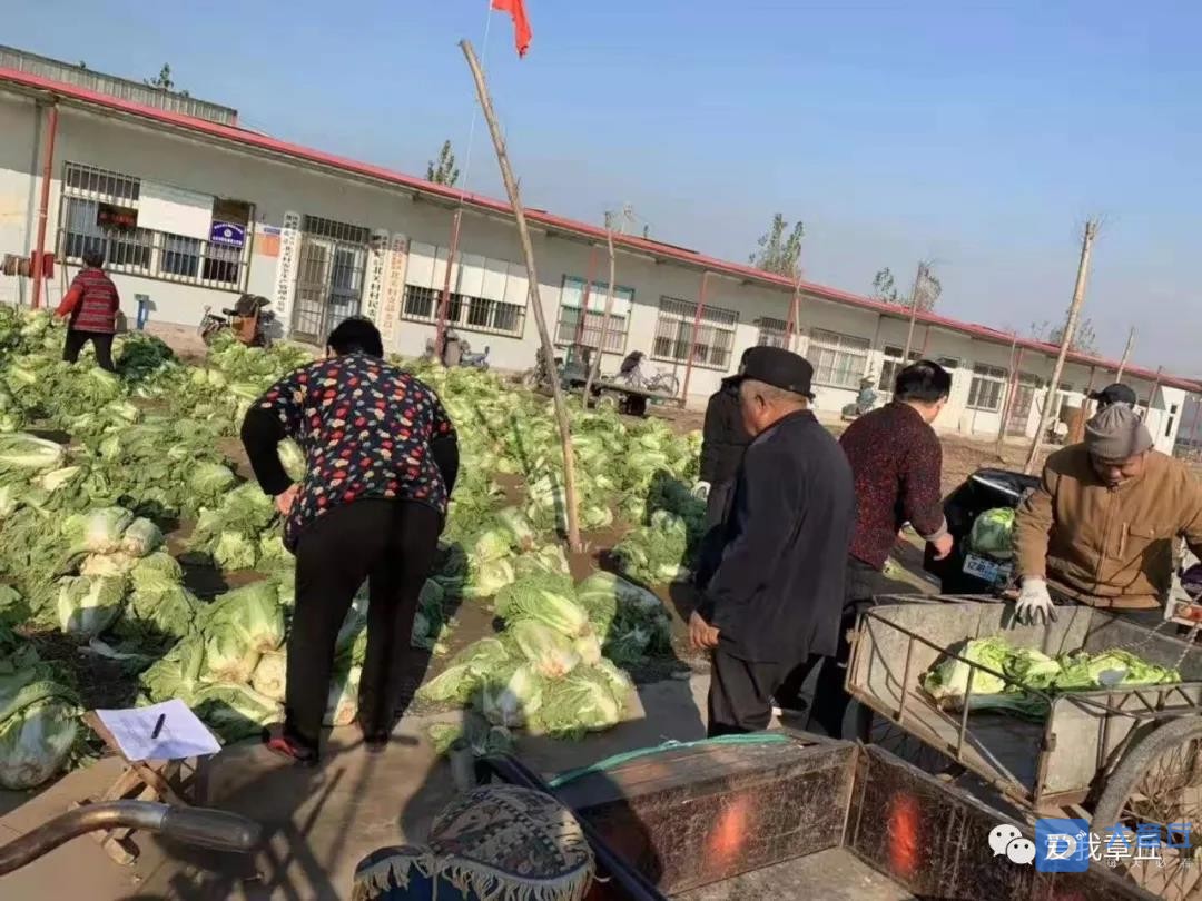 微信图片_20191127102232.jpg