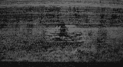 19.gif