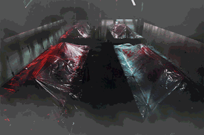 23.gif