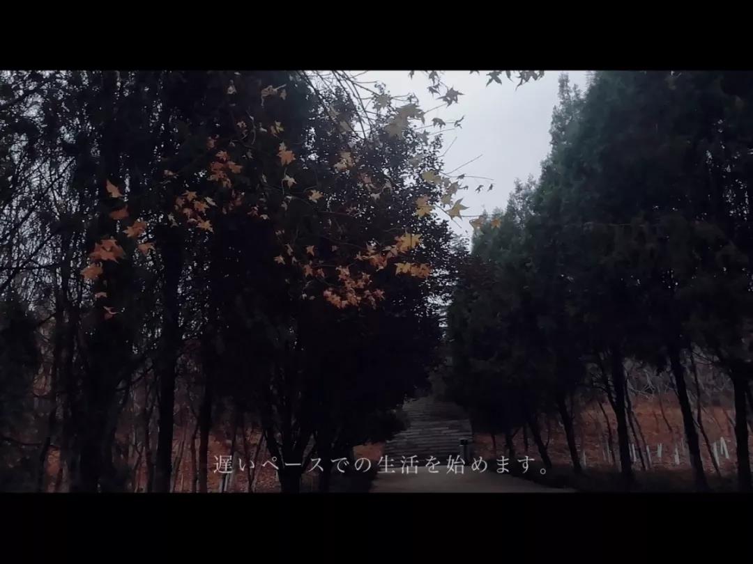 微信图片_20191128082722.jpg