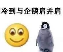 微信图片_20191128090320.jpg