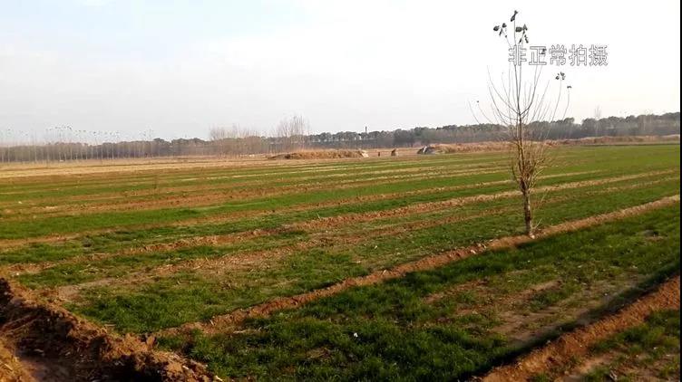 微信图片_20191130172928.jpg