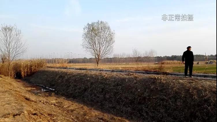微信图片_20191130172934.jpg